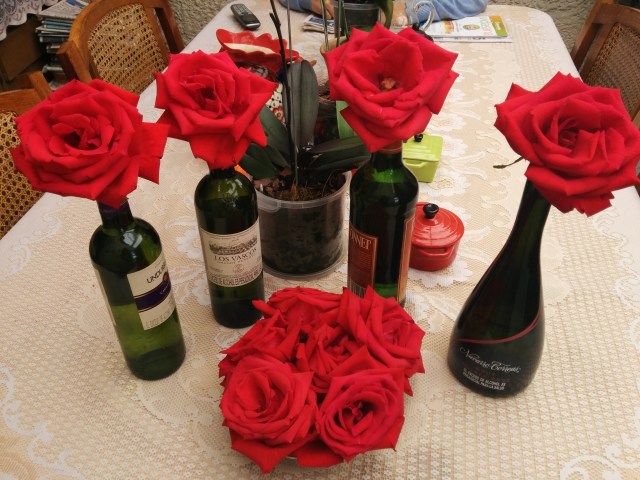 Roses from Don Eloy