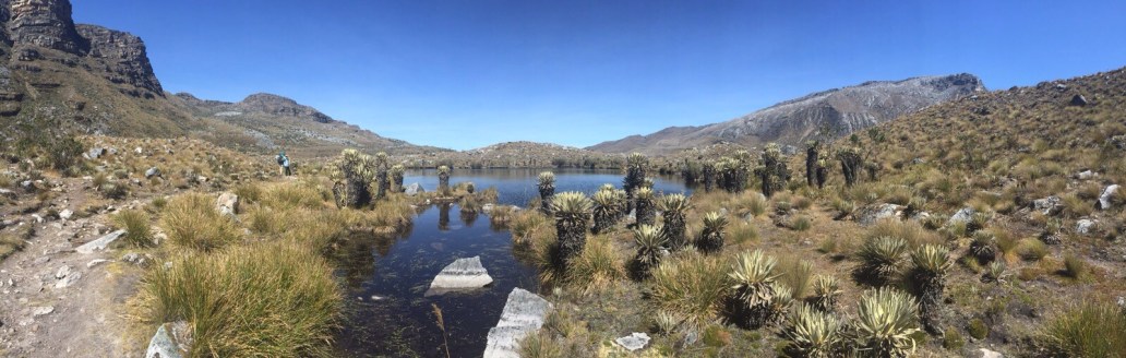 Cocuy, Frailejon, paramo valley